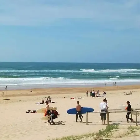 Notre Bergerie * סוסטון