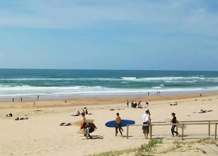 Notre Bergerie * סוסטון